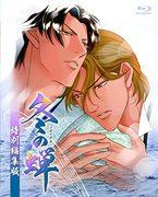 《冬蝉：特别版》详细评论与评估