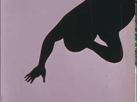 《影》：描绘光影、评论和印象的世界的独特作品