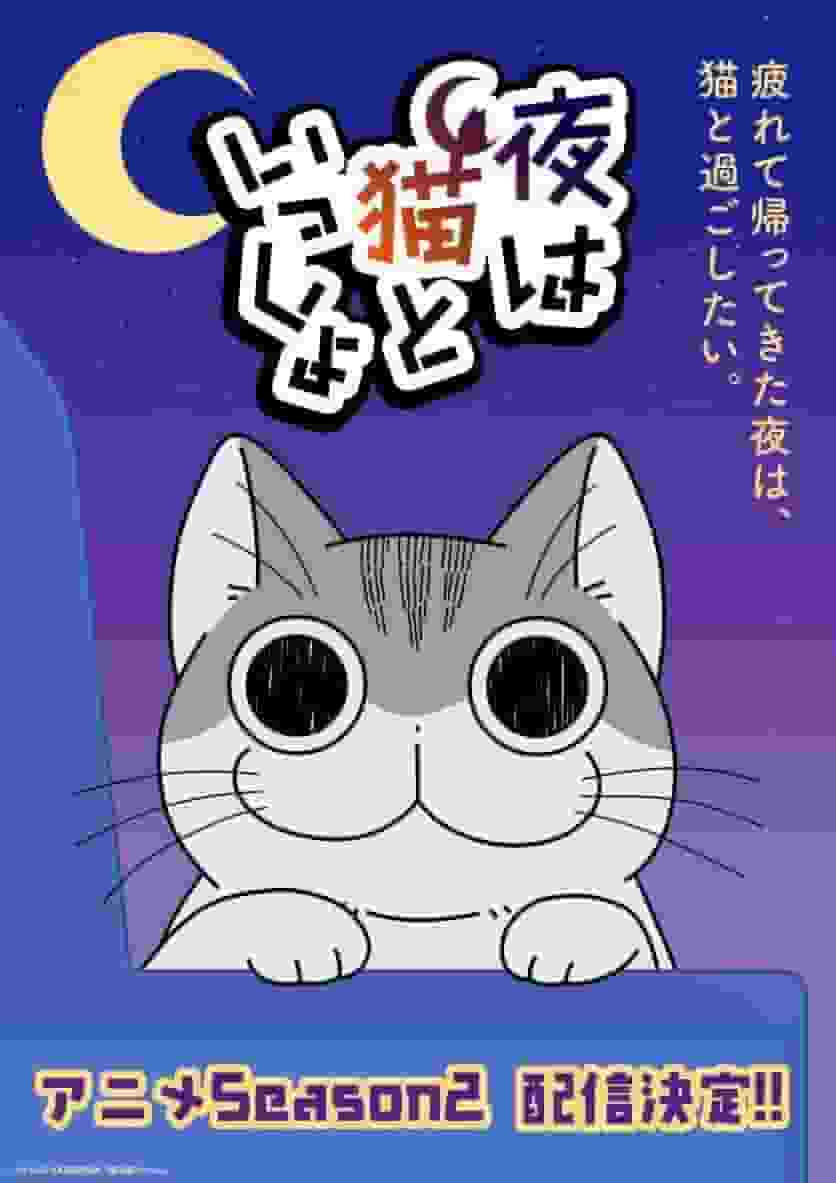 《夜猫子与一笑》第二季的魅力与评价：猫迷必看的动画