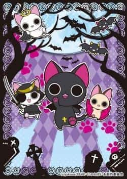 Nyan†Pia 动画 - 全面回顾迷人的猫耳动漫