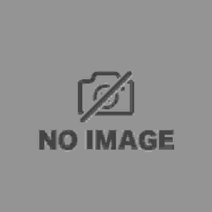 《蓝色档案The Animation》评价：超出期待的品质、角色魅力十足
