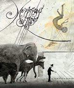 《Mybridge's Threads》评论：动人的故事和美丽的图像