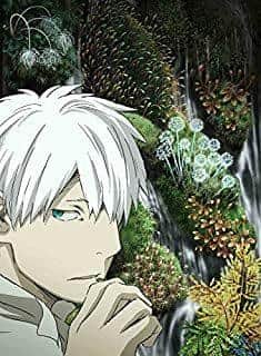 《虫师：下一章特别版》的魅力与评价：感动的重逢与新的冒险
