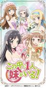 OVA《我有妹妹了！》的魅力与评价：粉丝必看