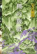 《狸猫的原田》评论：引人入胜的故事和深刻的人物