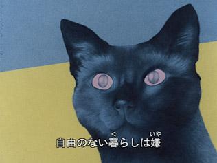 猫眼恋曲：大家的歌版的魅力与评价