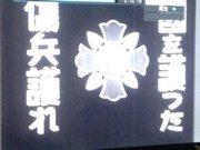 森林医生与白大褂战士：魅力人物与励志故事回顾