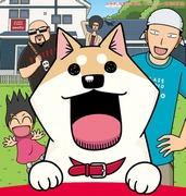 亲爱的 Mooko：这部描绘猫咪日常生活的温馨、舒缓的动画有何魅力？