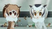 Kemono Friends x Anisama 2017 合作的魅力和感想