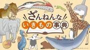 对新版《不幸生物百科全书》进行全面回顾！介绍景点和推荐景点