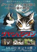 全面回顾《达扬、塔玛和飞猫：三只猫的故事》！哪只猫最有魅力？
