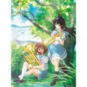 声音！低音号 2 未播出短片 - 低音号系列 OVA 的评价与吸引力