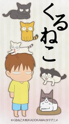 《黑猫》的魅力与评价：猫迷必看的动画