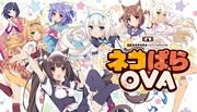 Nekopara OVA 的魅力与评价：猫迷必看的动画