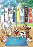 织田肉桂信长：欣赏历史与猫的独特融合