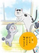 深入解析与猫狗一起生活的日常趣事！