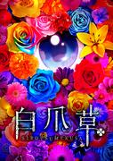 《白爪草》的魅力与评价：透彻阐释深刻的故事和人物的魅力