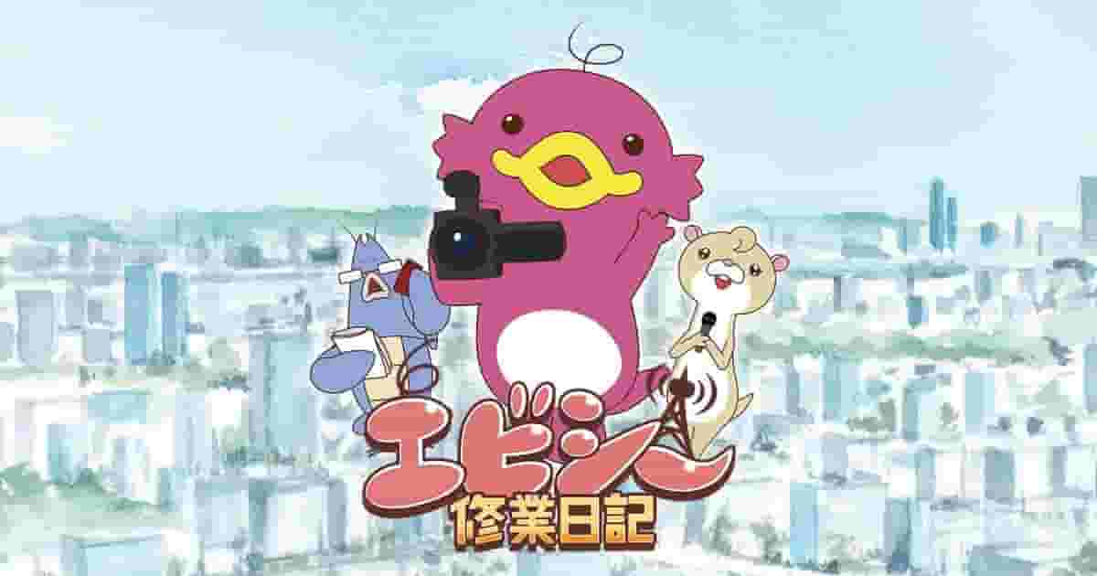 惠比寿训练日记：回顾成长与挑战之路