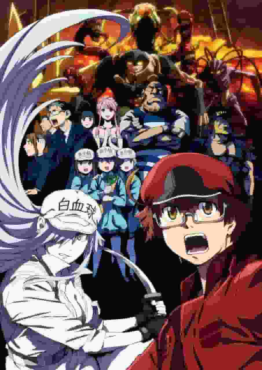 《工作细胞！黑色版》评论：细胞在恶劣环境下工作的现实故事