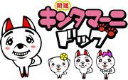 招财金塔马尼狗的吸引力与评价：它能有效提升你的运气吗？