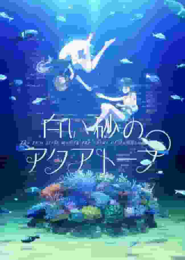 《白沙水族箱》：全面解析水族箱的美丽世界及其成长故事